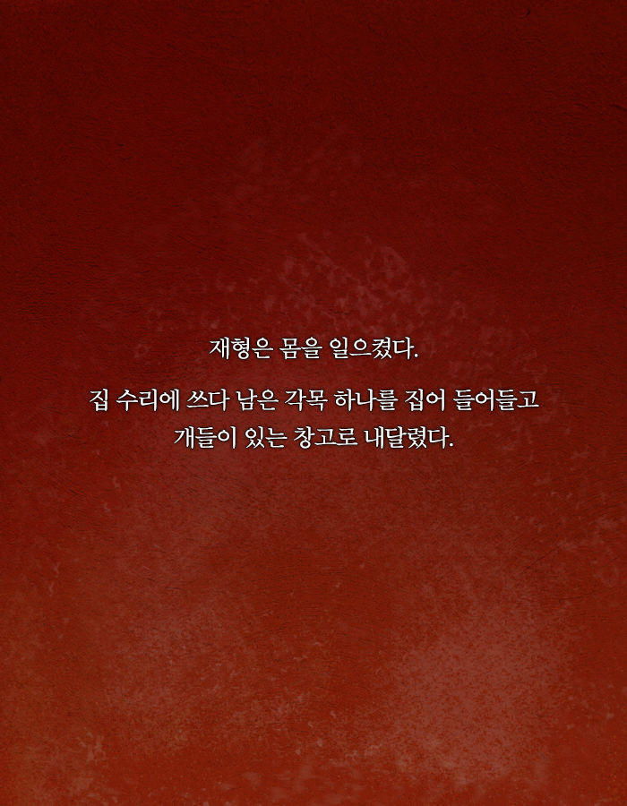 [책소개] 동물병원에 군인들이 닥친 이유 | 인스티즈