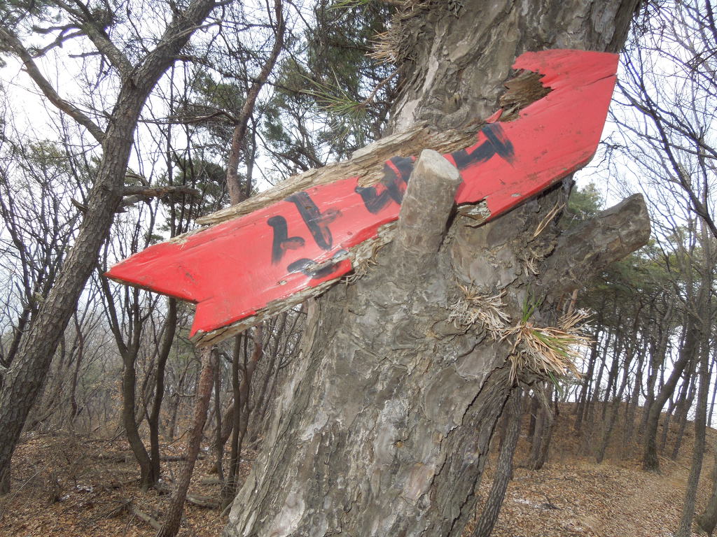 마국산 정상 이미지