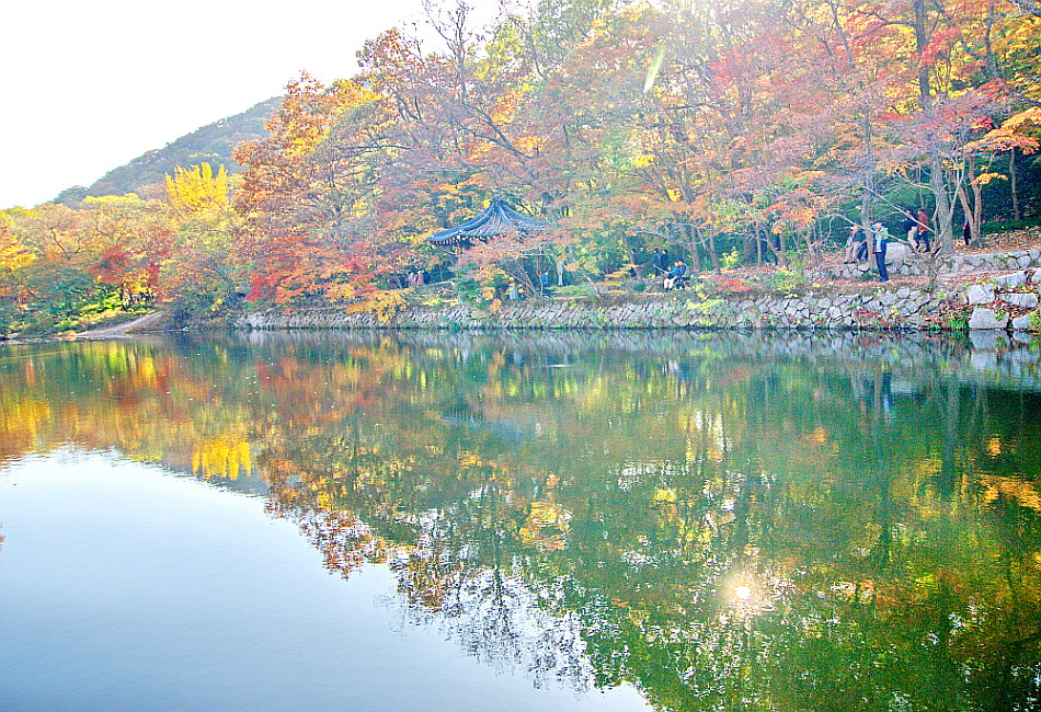 (주)사람과풍경 이미지