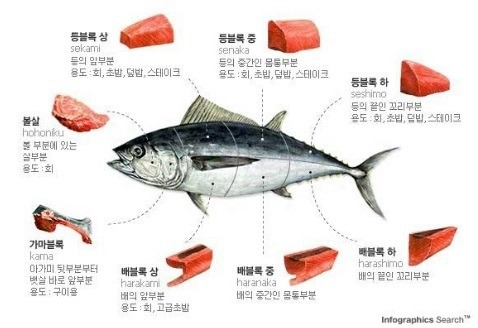 소고기 평생 공짜 vs 참치 평생 공짜 | 인스티즈