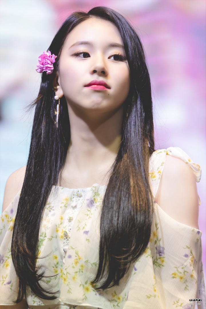 이제는 성인인 어른맹수 트와이스 채영| | 인스티즈