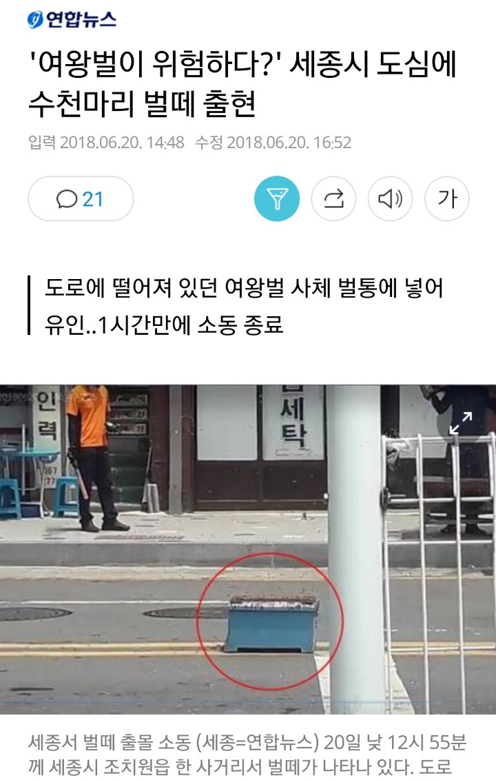 도심에 수천마리의 벌떼가... | 인스티즈
