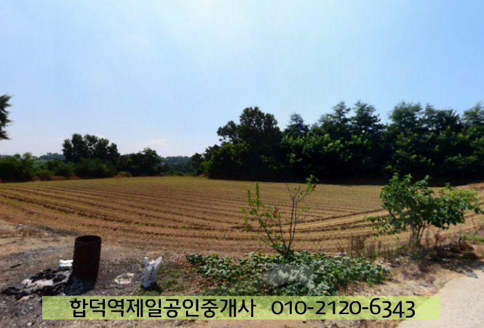 대지 이미지
