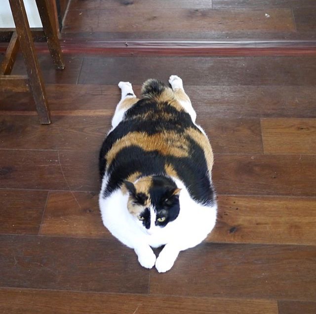 효리네 민박 비하인드 컷 | 인스티즈