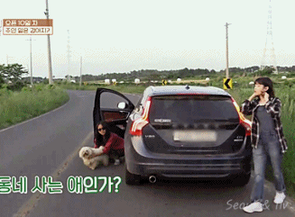 [효리네민박] 길에서 만난 강아지. jpgif | 인스티즈