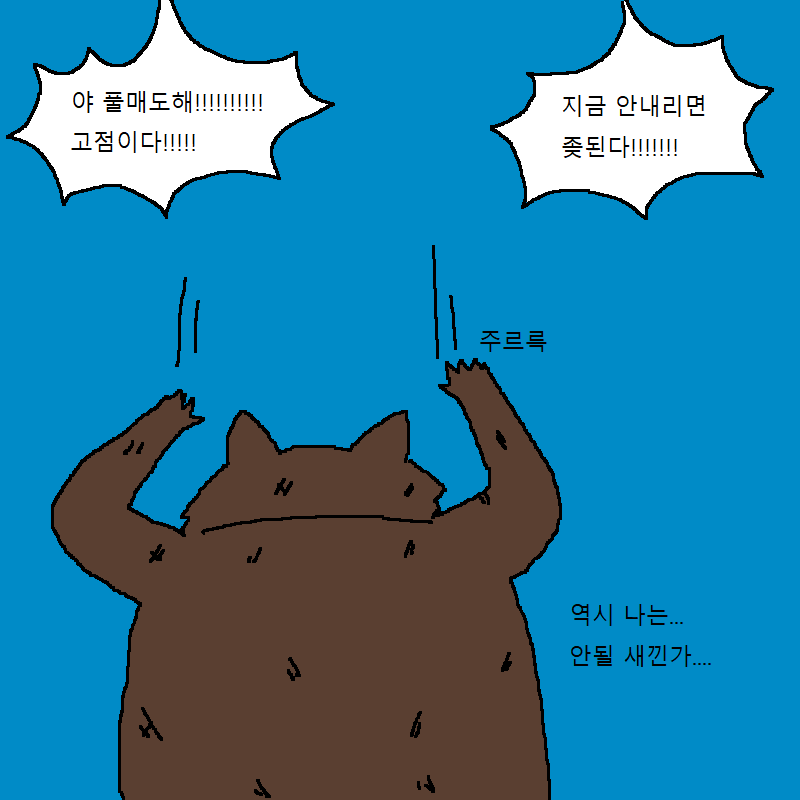 가상화폐 투자했다가 강제 존버하는 너구리 | 인스티즈