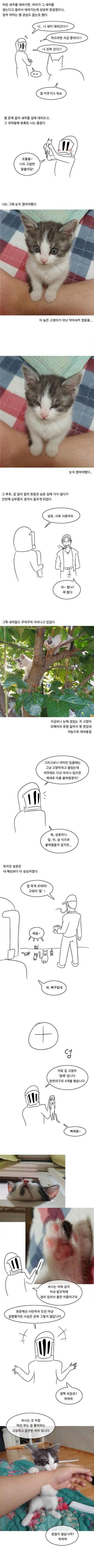 경상도 삼촌과 고양이 만화 | 인스티즈