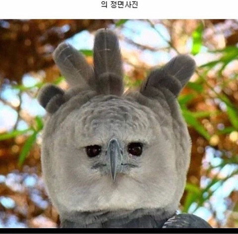 정면 사진 안 찍는 사람 의심해봐야 하는 이유 | 인스티즈