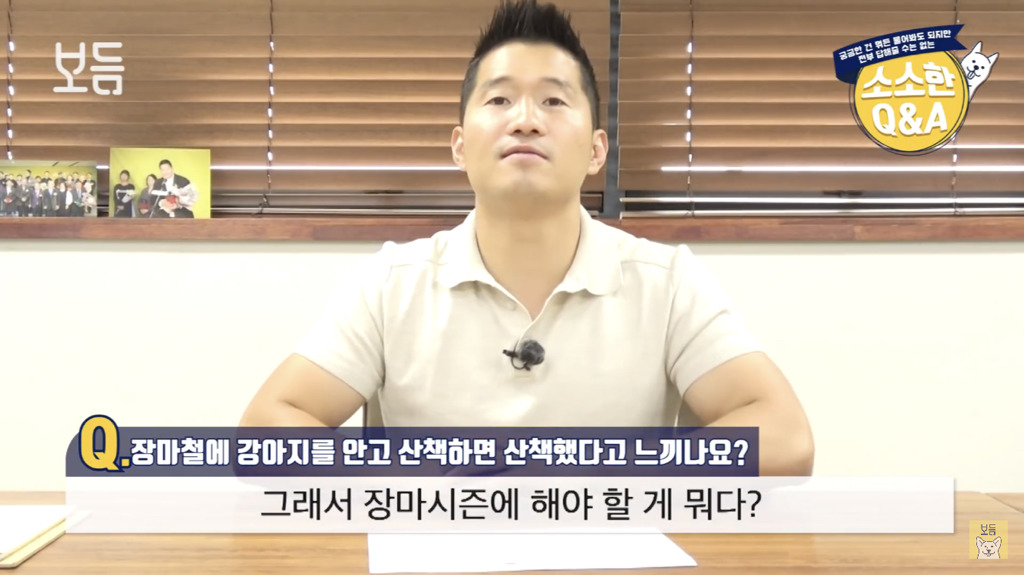 장마철에 강아지를 안고 산책하면 산책했다고 느끼나요?.jpg | 인스티즈