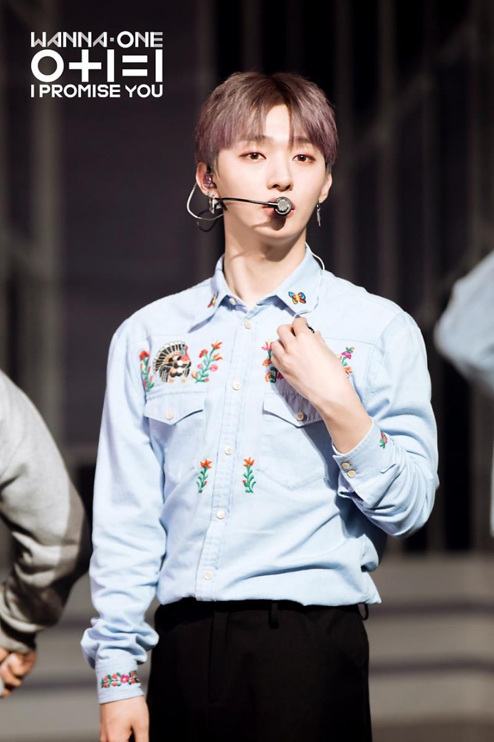 블리 이미지