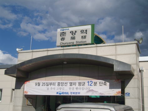 국짱 이미지
