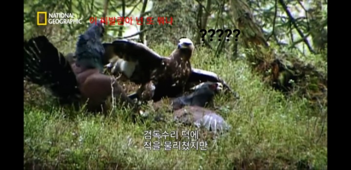 분노조절을 잘 해야하는 이유 | 인스티즈