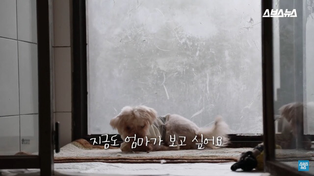  사람들이 홍대에서 인형을 뽑다 우는 이유는? | 인스티즈