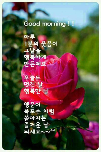 행복느낌 이미지
