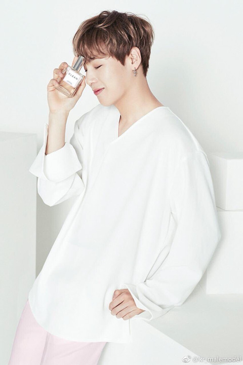 워너클린 이미지