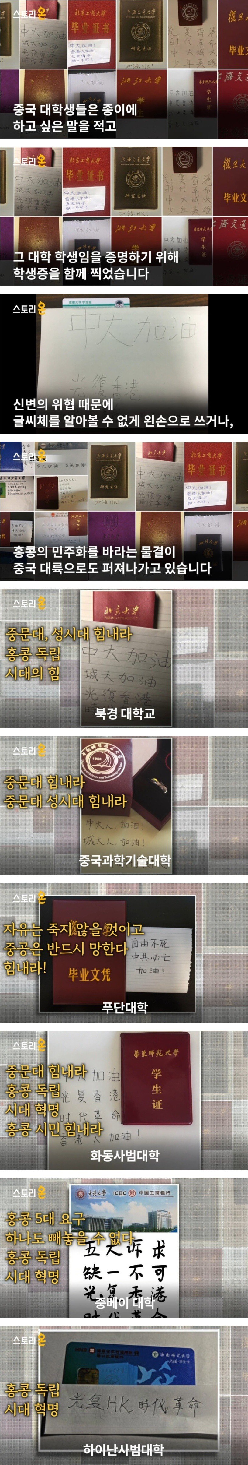 착한 중국인은 모두 죽지 않았다 다만 숨어있을뿐 | 인스티즈