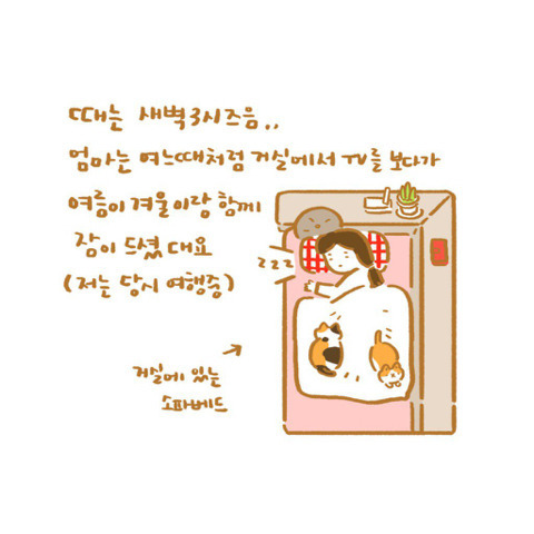 은혜갚은 고양이 | 인스티즈