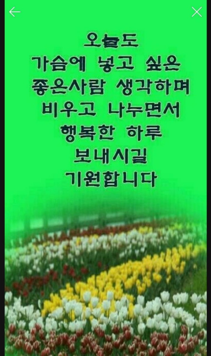 마음 이미지
