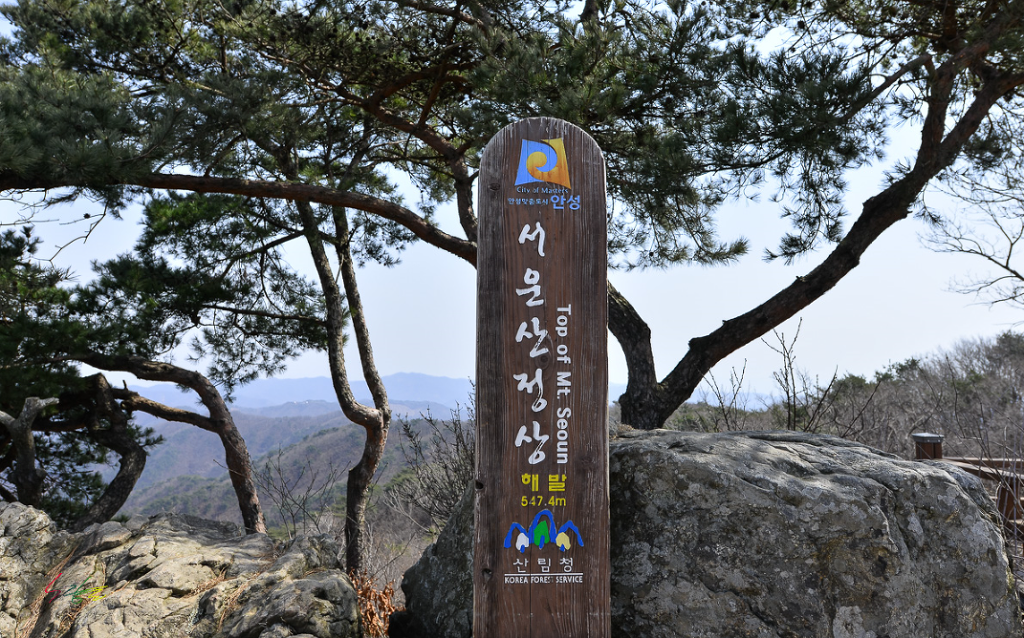 (주)유진여행사 이미지