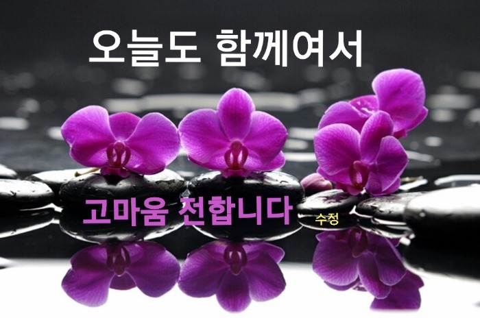 오늘도함께 이미지
