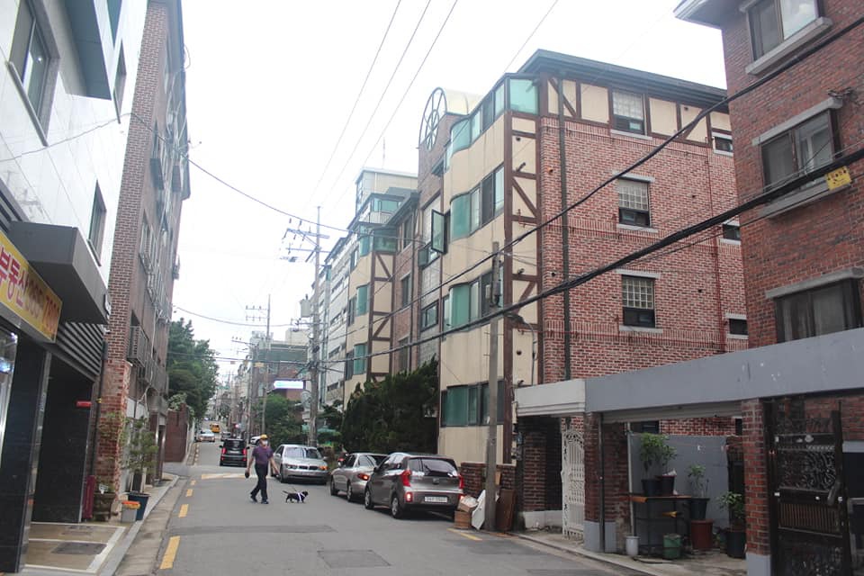 금화장 이미지
