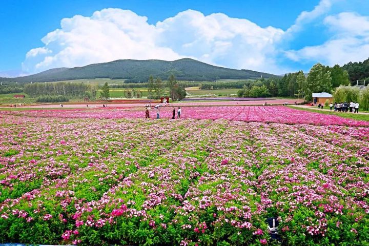 움짤로 보는 2018년 만주벌판의 사계절......gif,jpg | 인스티즈