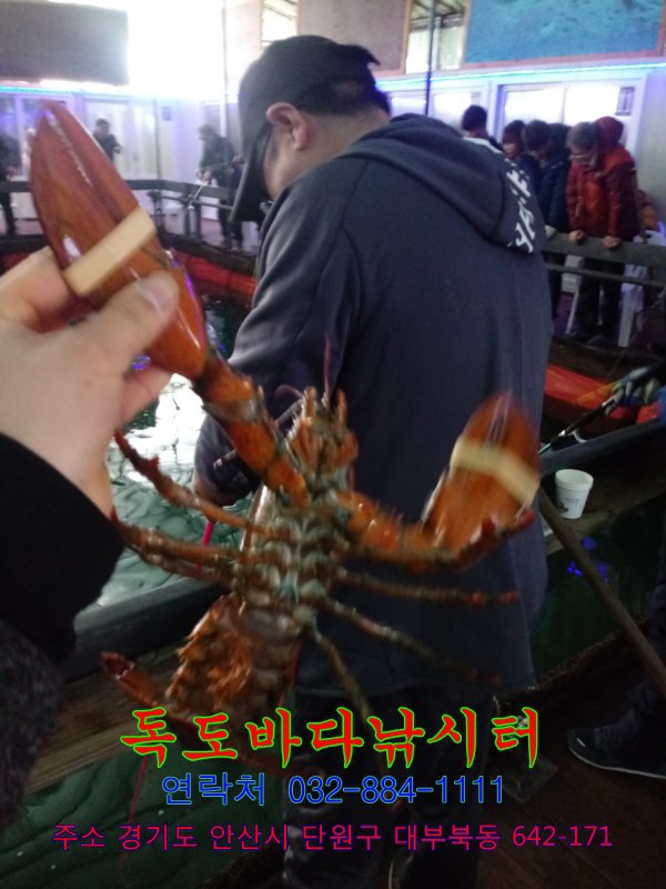 랍스타하우스 이미지
