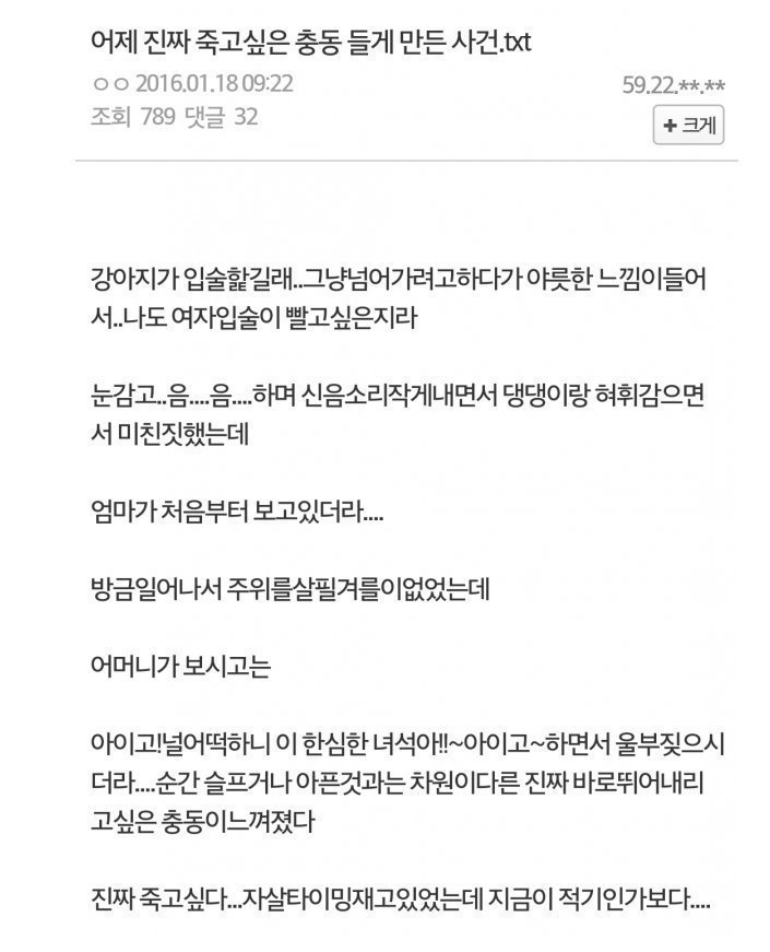 강아지랑 키스하다 수치플 | 인스티즈