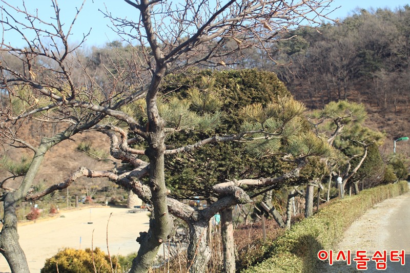 이시돌쉼터 이미지