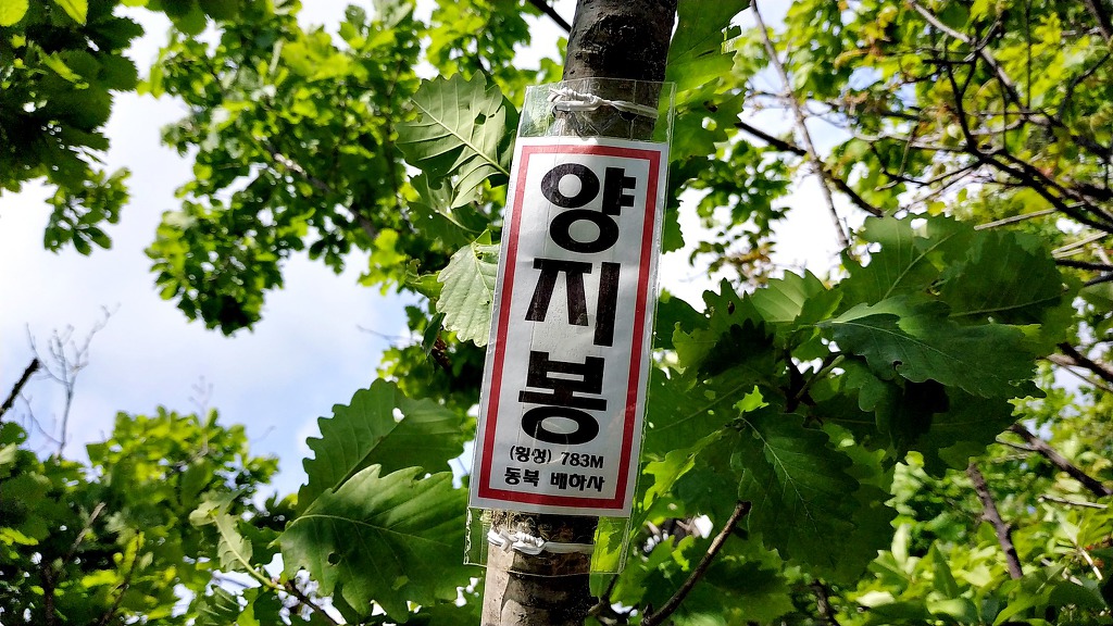 양지봉 이미지
