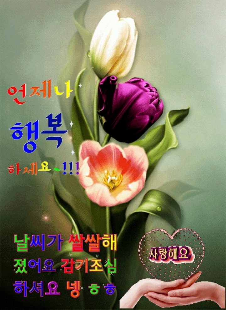꽃을사랑합니다 이미지