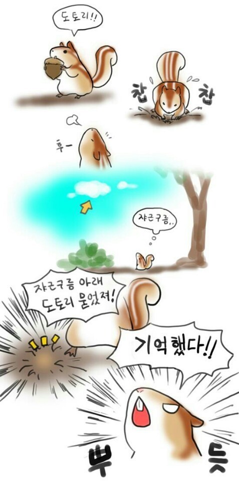 다시봐도 귀여운 도토리 숨기는 다람쥐 만화 | 인스티즈