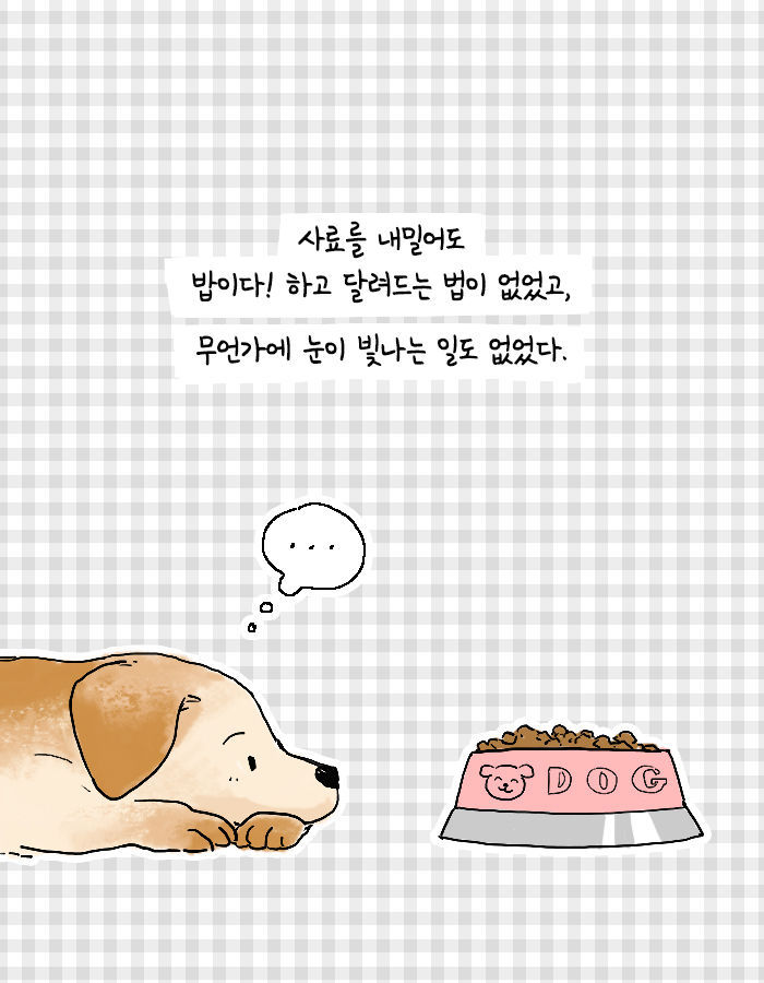 [책소개] 어쩌다보니 대형 댕댕이랑 같이 살게 됨 | 인스티즈