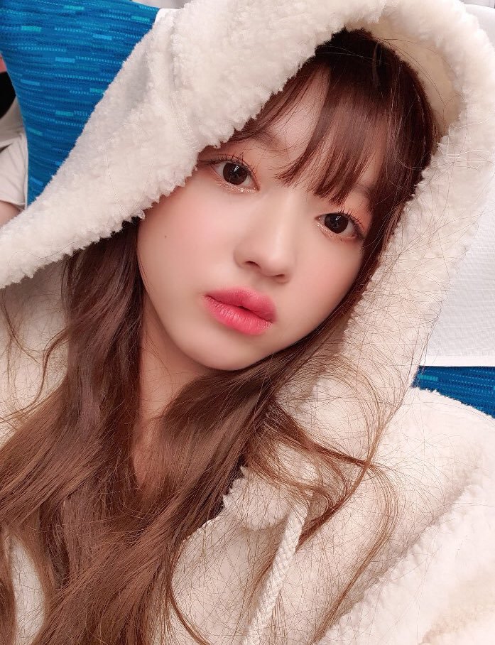 오늘자 오마이걸 트위터 | 인스티즈
