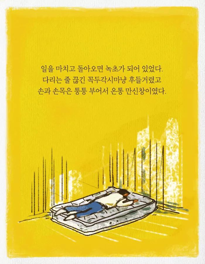 카이스트 다니다가 바나나 농장에 취직한 이유 | 인스티즈