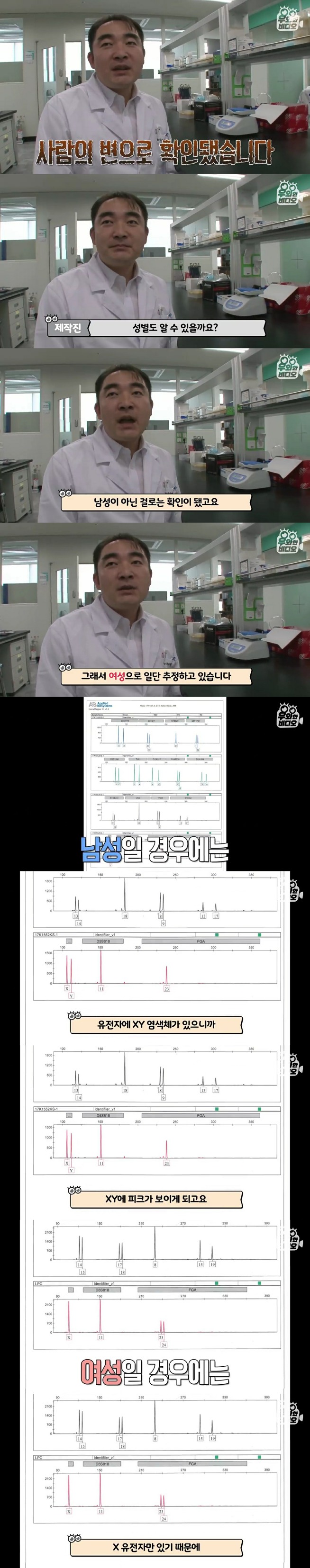 골목에 똥을 던져서 CCTV를 설치해봤더니 | 인스티즈
