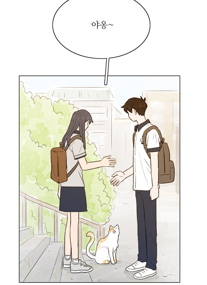 여름느낌과 잘 어울리는 웹툰 셋 (네이버,다음,레진 하나씩) | 인스티즈
