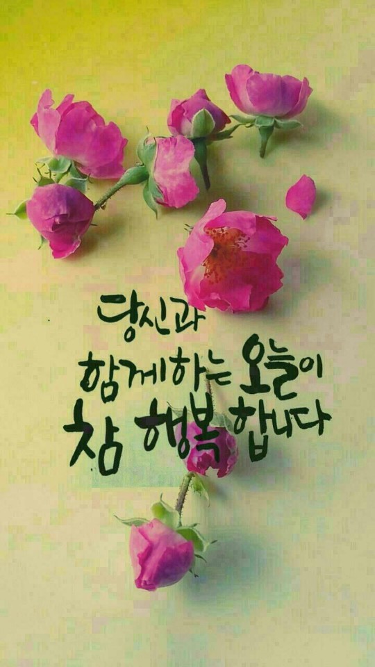 논산바다 이미지
