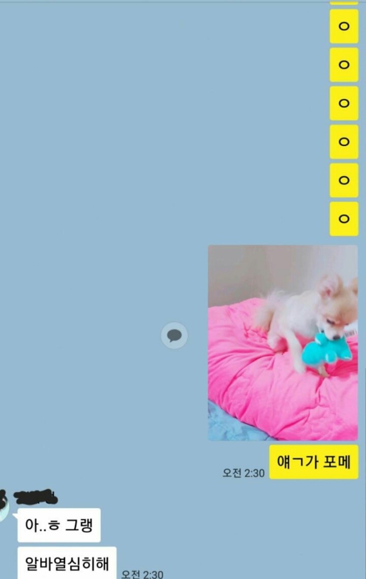 한편 오늘자 디씨 카톡 대참사.. | 인스티즈