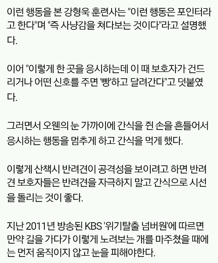 개가 이런 표정을 지으면 조심하세요 | 인스티즈